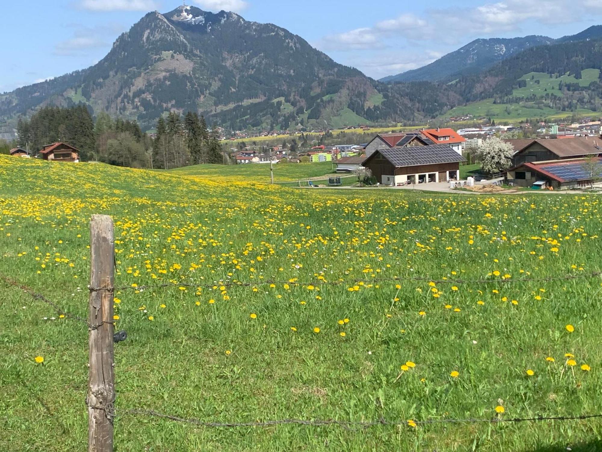 Ferienwohnungen Probst Ofterschwang Kültér fotó